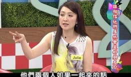 翁立友最新爆料,揭秘娱乐圈不为人知的秘密